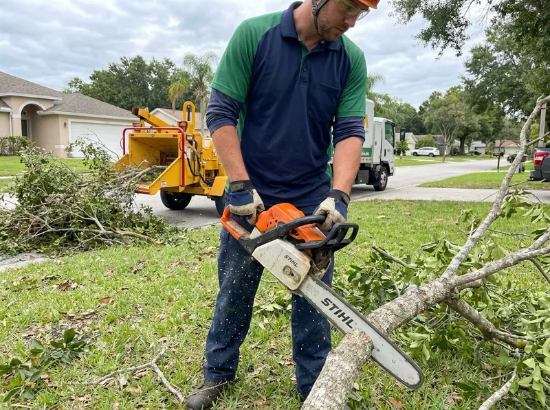 Storm Debris Garbage Collection in Orlando, FL